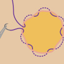 Purse string